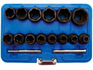 BGS Vaurioituneen pultin ja mutterin irroitushylsyt 16-osainen sarja 5269