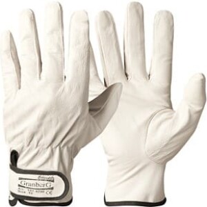 Asentajanhanska Assemply 101.4290