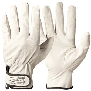 Asentajanhanska Assemply 101.4290