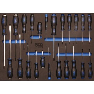 Ruuvimeisselit moduulissa BGS