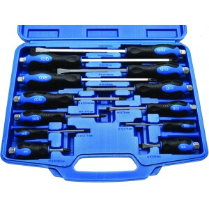 Ruuvimeisselisarja BGS-7895