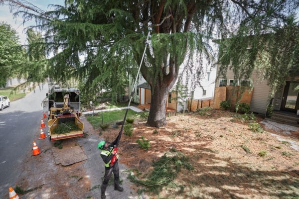 Milwaukee M18 FTPS30-0 teleskooppinen ketjusaha 30 cm terällä - Image 3
